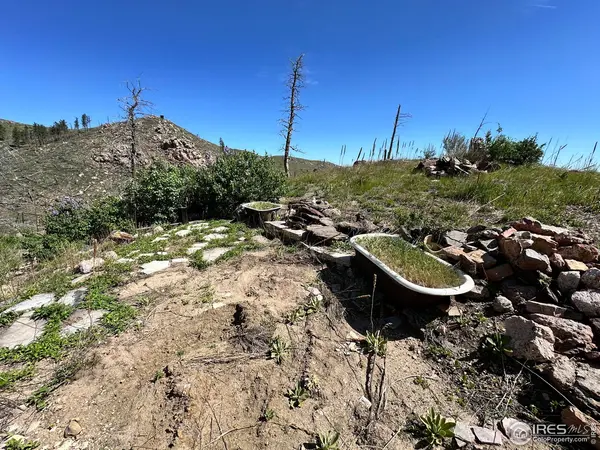 100 Canyon Gulch, Bellvue, CO 80512
