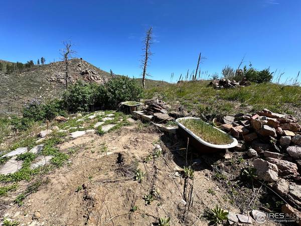 100 Canyon Gulch, Bellvue, CO 80512