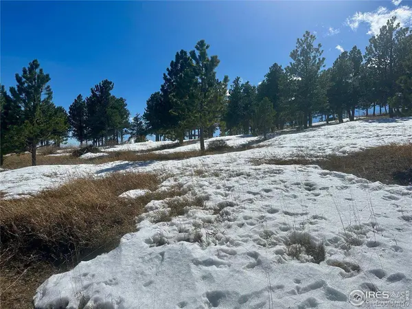 783 Dixon, Boulder, CO 80302