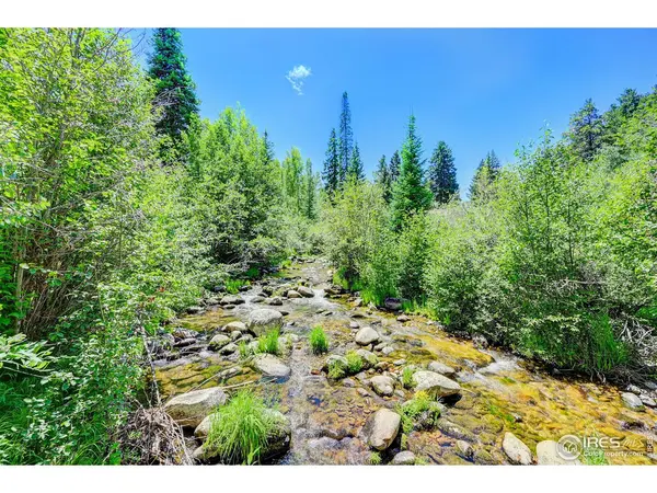 185 Vasquez #D1, Winter Park, CO 80482