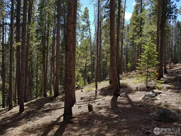 274 Arapahoe, Red Feather Lakes, CO 80545