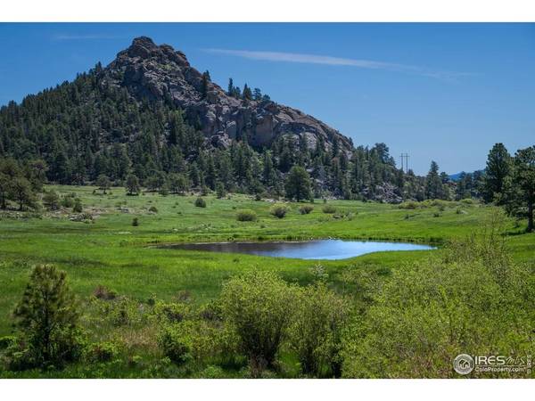 Mountain Pony, Livermore, CO 80536