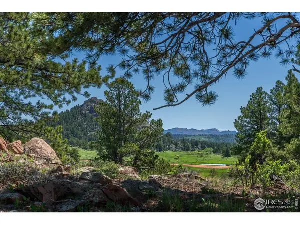 Mountain Pony, Livermore, CO 80536