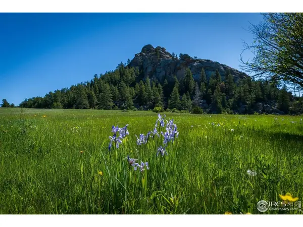 Shoshana Ranch, Livermore, CO 80536