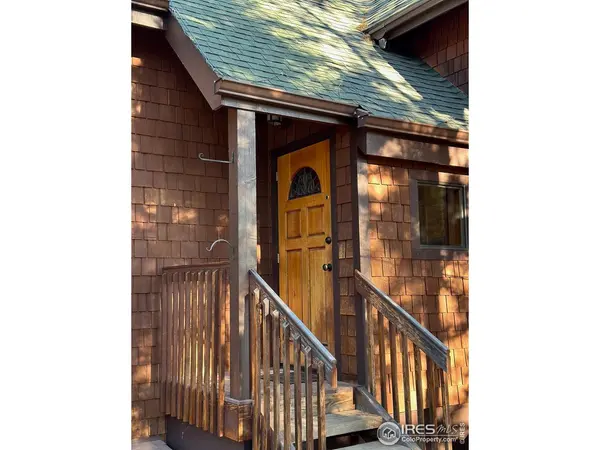 251 Haugen Slide, Allenspark, CO 80510