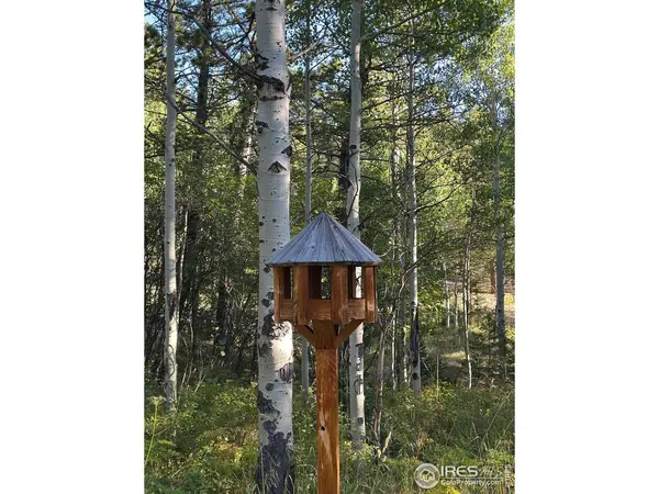 251 Haugen Slide, Allenspark, CO 80510