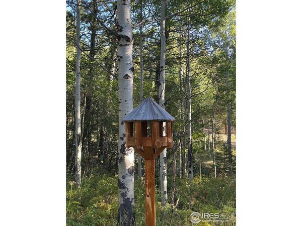 251 Haugen Slide, Allenspark, CO 80510