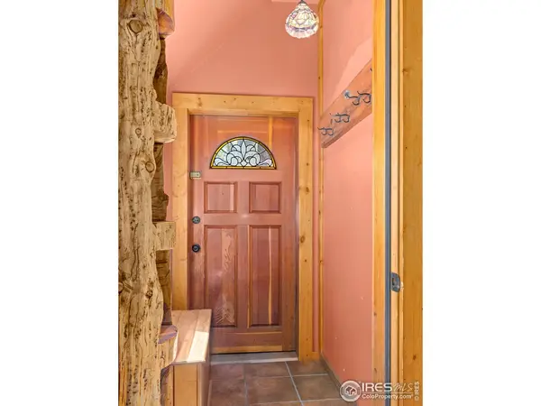 251 Haugen Slide, Allenspark, CO 80510