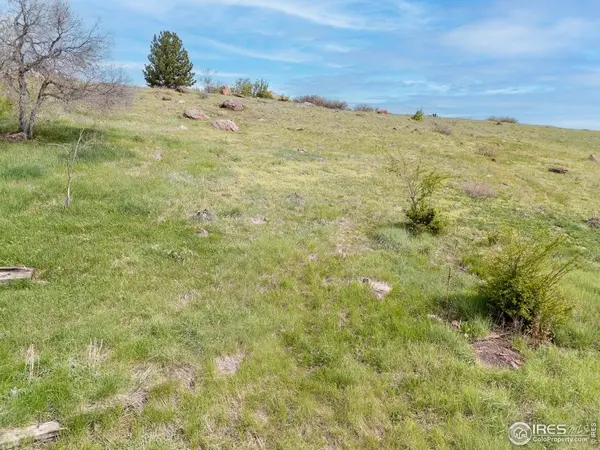 1965 Kohler, Boulder, CO 80305