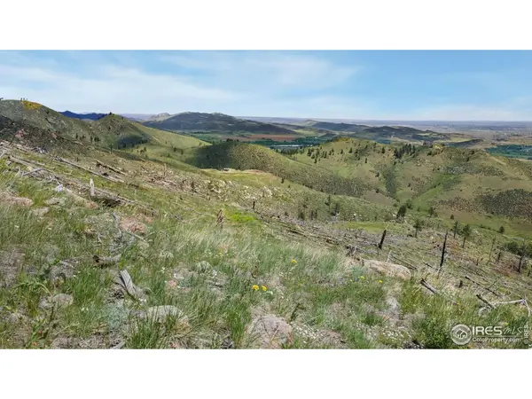 898 Hernia Hill, Bellvue, CO 80512