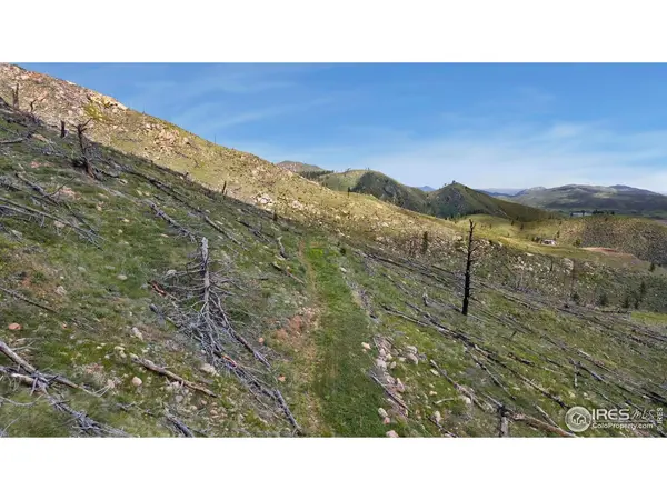 898 Hernia Hill, Bellvue, CO 80512