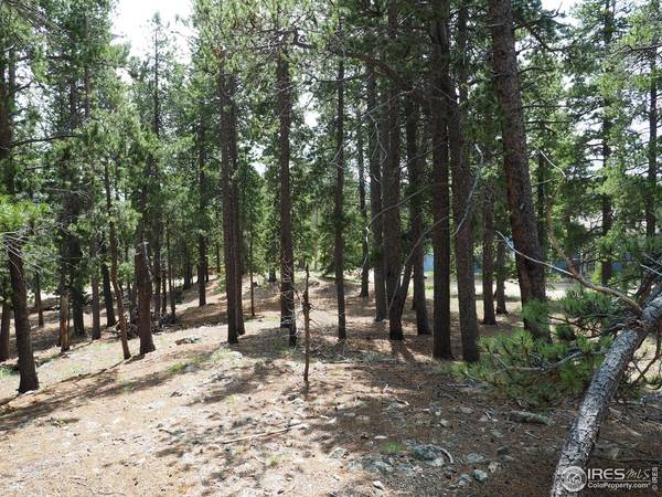 0 Caesar, Black Hawk, CO 80422