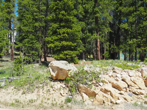 0 Caesar, Black Hawk, CO 80422