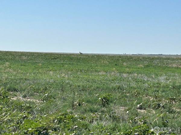 0 CR 74, Briggsdale, CO 80611