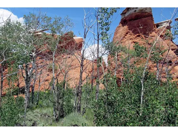 Address not disclosed, Sand Creek Township, CO 82070