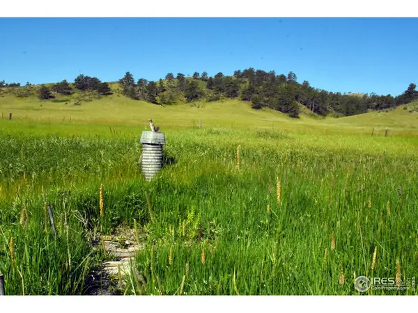 1364 Red Bluff, Livermore, CO 80536