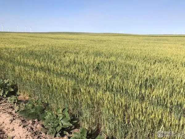 0 CR 70, Briggsdale, CO 80611