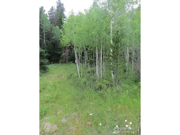 0 Peak to Peak, Nederland, CO 80466