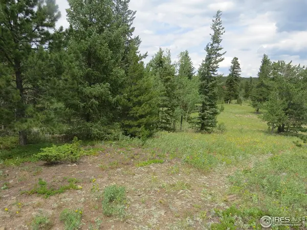 0 Peak to Peak, Nederland, CO 80466