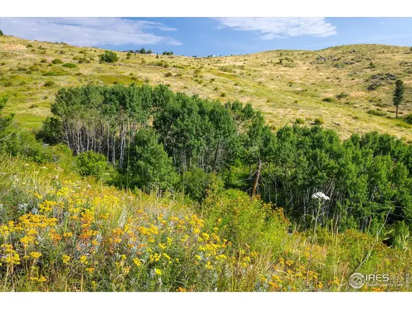 730 Lost Angel, Boulder, CO 80302
