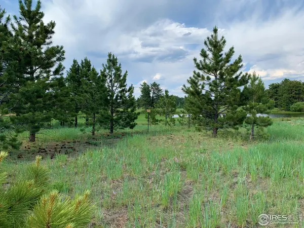 3 Fox Meadow #Lot 3, Red Feather Lakes, CO 80545