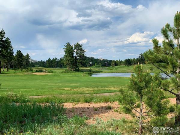 3 Fox Meadow #Lot 3, Red Feather Lakes, CO 80545