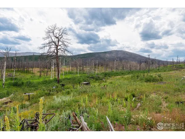 529 Quartz, Bellvue, CO 80512