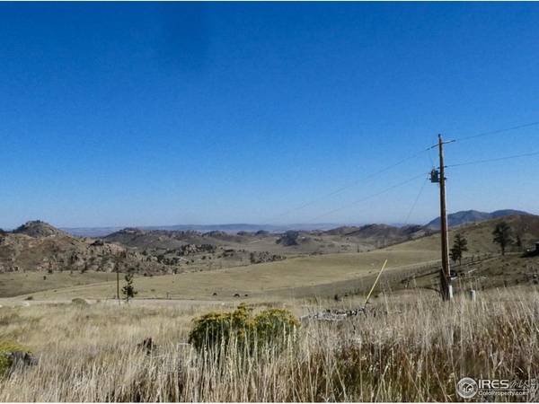 59 Bobcat Mountain, Livermore, CO 80536