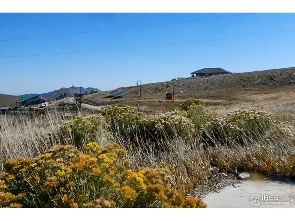 59 Bobcat Mountain, Livermore, CO 80536