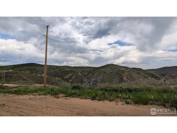 1324 Meadow Mountain, Livermore, CO 80536