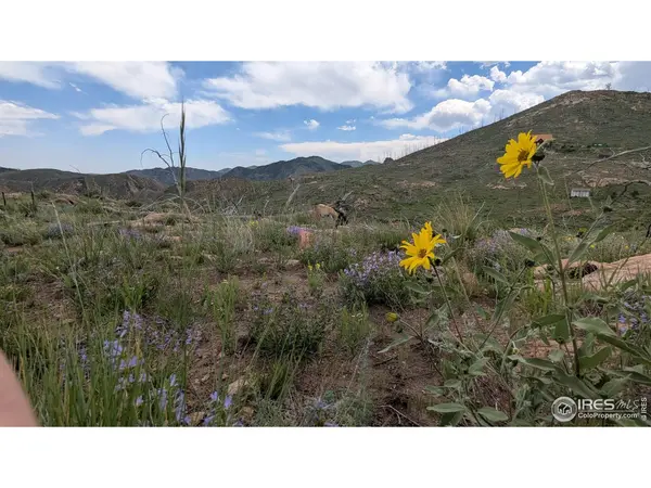 1324 Meadow Mountain, Livermore, CO 80536
