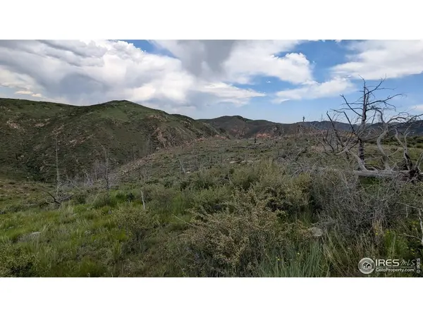 1324 Meadow Mountain, Livermore, CO 80536