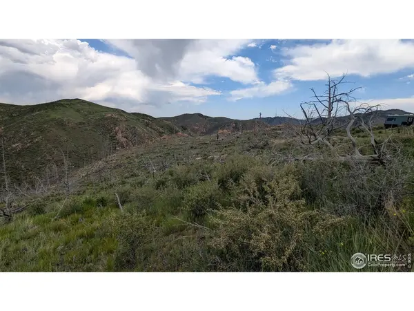 1324 Meadow Mountain, Livermore, CO 80536