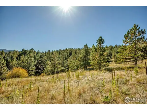 198 Puma, Boulder, CO 80302