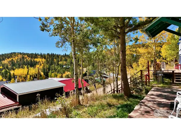 51 Nelson, Ward, CO 80481