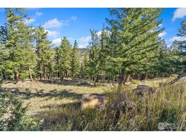 90 Sunlight, Livermore, CO 80536