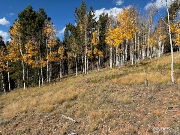 85 Remwood, Divide, CO 80814