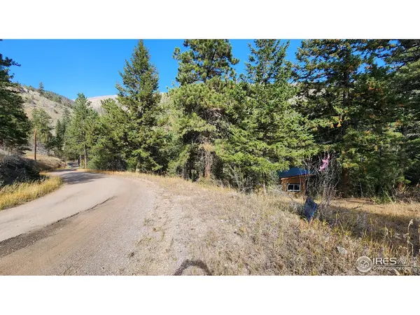 84 Copper Hill, Glen Haven, CO 80532