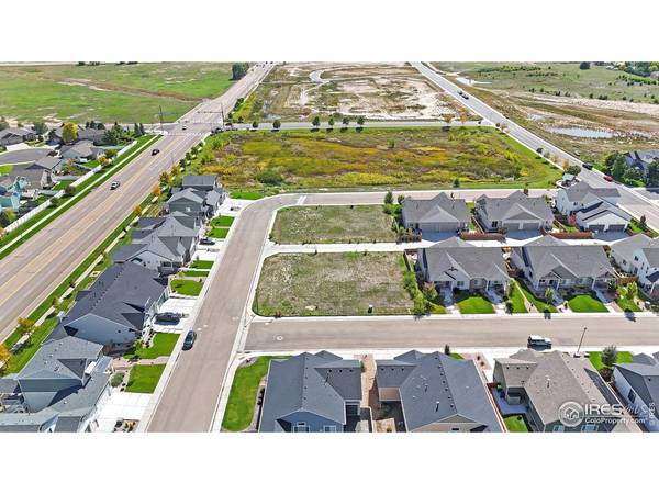 293 Turnberry, Windsor, CO 80550