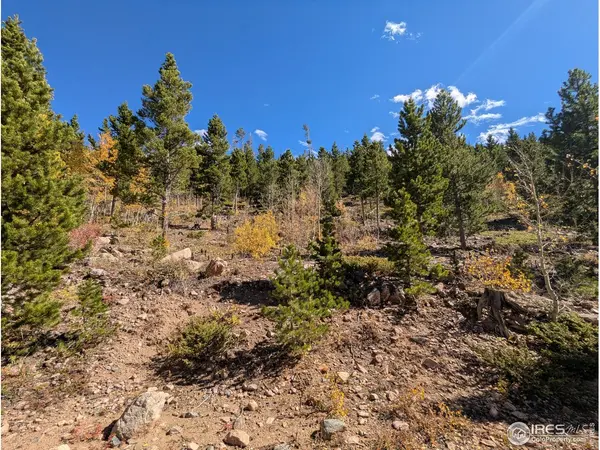 2174 Bear Gulch, Red Feather Lakes, CO 80545
