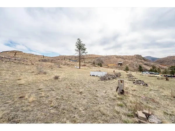 107 Mount Audubon, Livermore, CO 80536