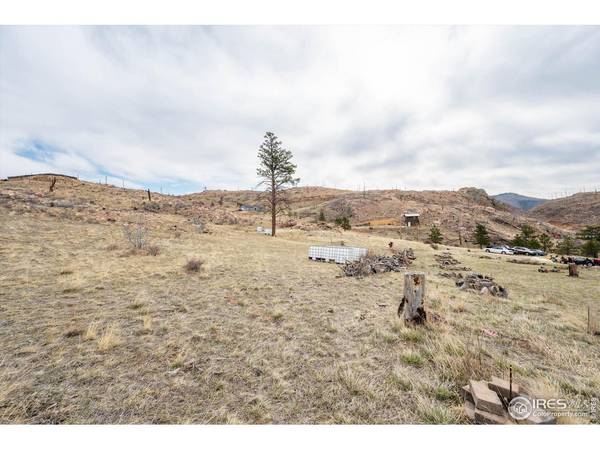 107 Mount Audubon, Livermore, CO 80536