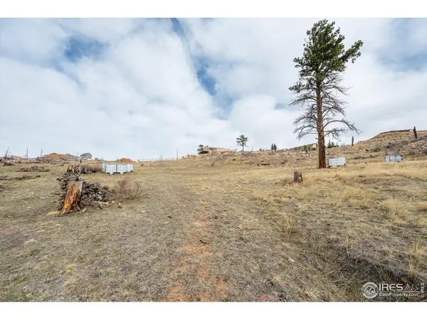 107 Mount Audubon, Livermore, CO 80536