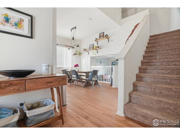 723 Valleybrook, Windsor, CO 80550