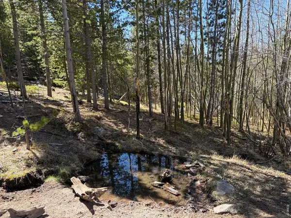 0 Bear Gulch, Red Feather Lakes, CO 80545