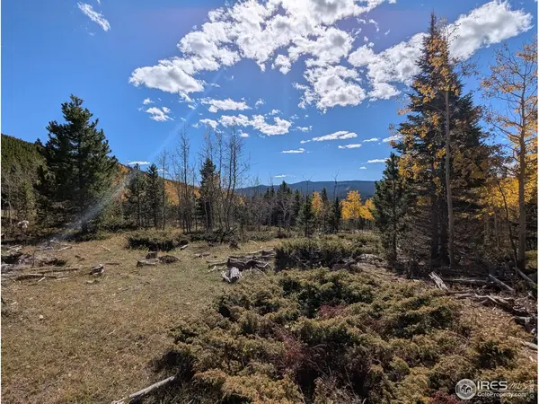 0 Bear Gulch, Red Feather Lakes, CO 80545