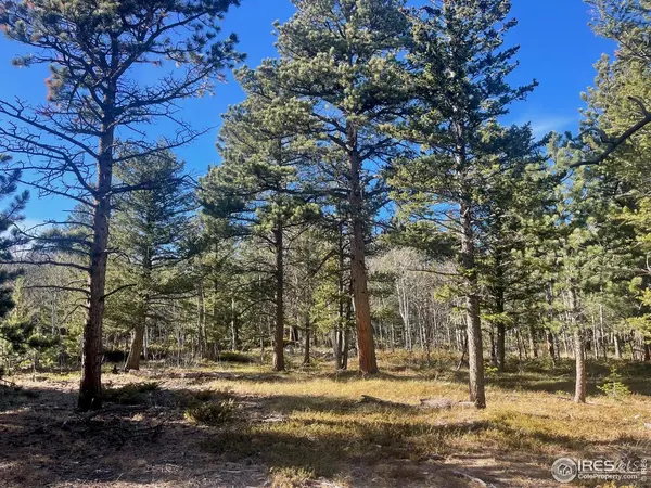 399 N Skinner, Allenspark, CO 80510
