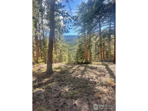 399 N Skinner, Allenspark, CO 80510