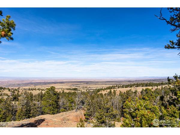 0 Wilderness Ranch, Red Feather Lakes, CO 80545