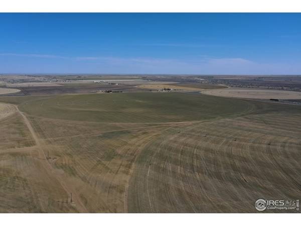 3699 County Road 5, Wiggins, CO 80654